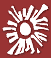 Network logo 