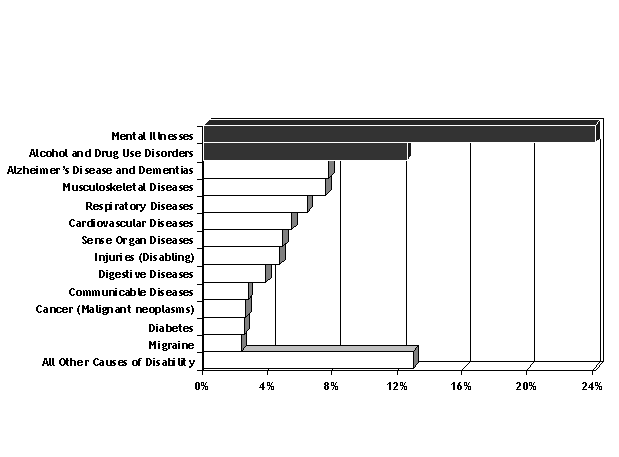 Figure 1.1. Causes of Disability, United States Canada and Western Europe, 2000, represents a bar graph with causes of disability on the vertical axis and percentage of life loss to disability on the horizontal axis, ranging from 0% to 24%.  